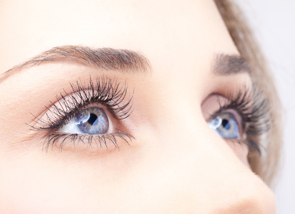Contact Lenses in Plano Contact Lenses in Plano
